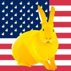JAUNE-FLAG FLAG ROSE lapin drapeau Showroom - Inkjet sur plexi, éditions limitées, numérotées et signées .Peinture animalière Art et décoration.Images multiples, commandez au peintre Thierry Bisch online